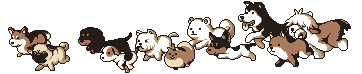 202509101710449972685.gif